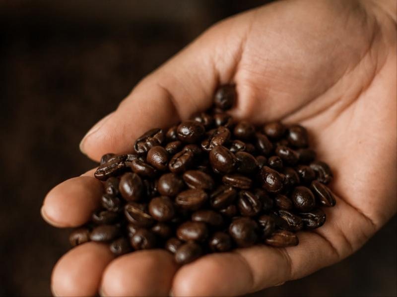 Una mano piena di chicchi di caffè tostati